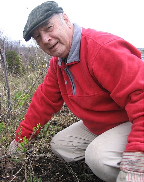 Gordon Morgan